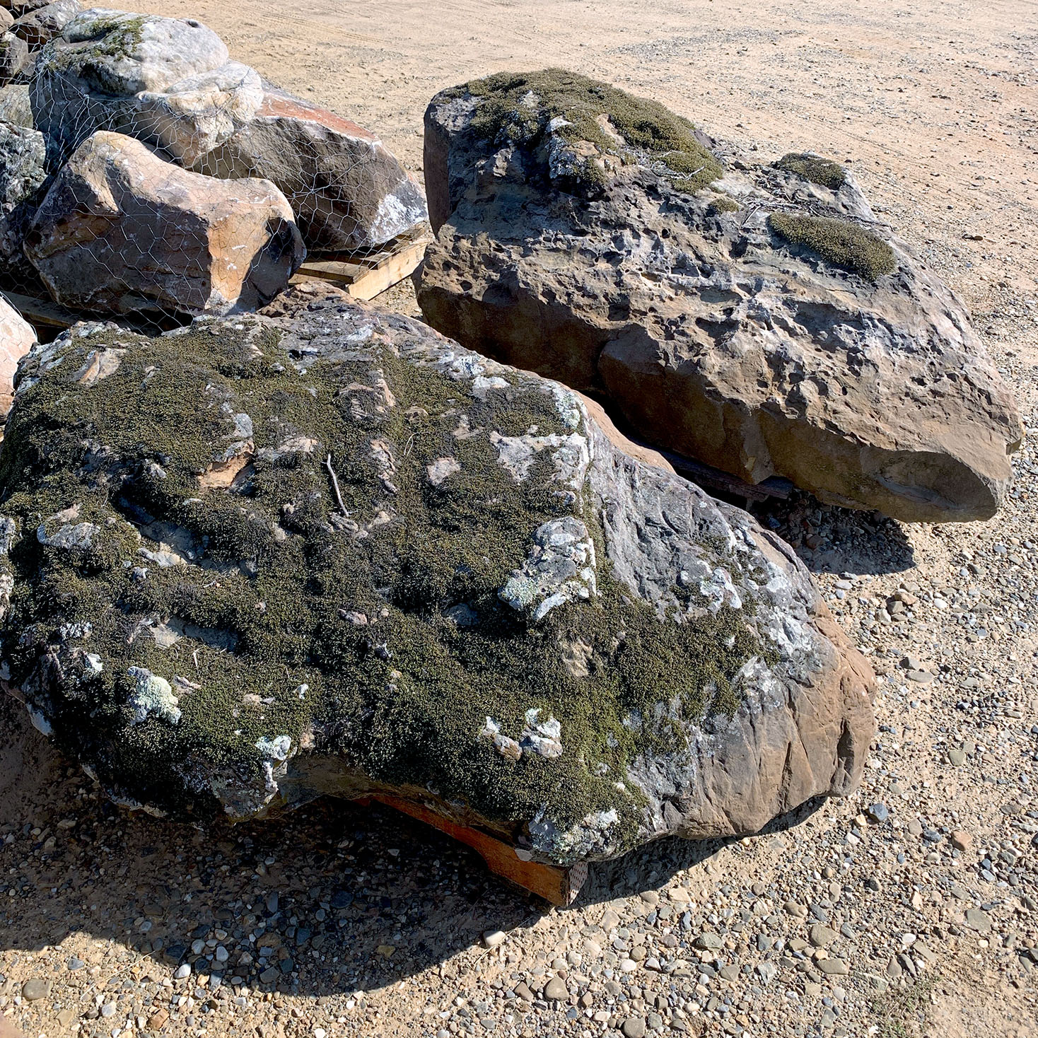 Large Mossy Boulders