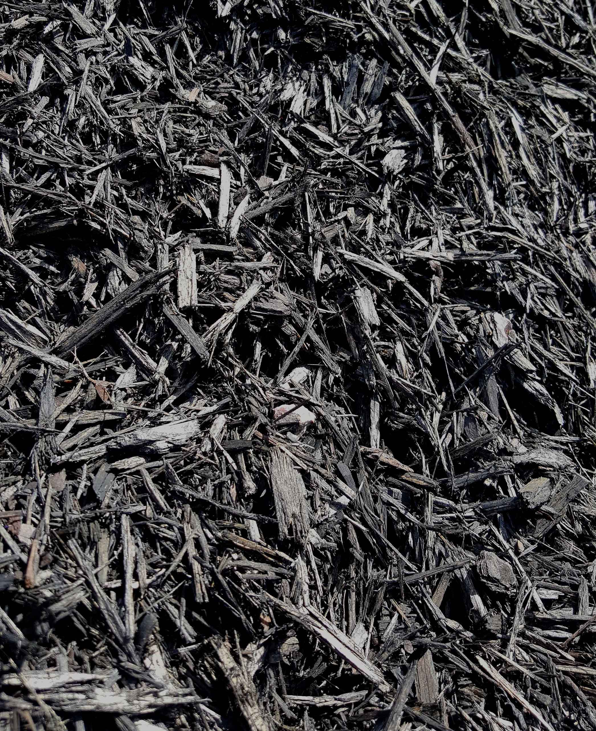Black Mulch