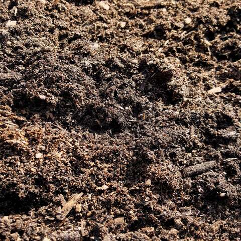 Topsoil